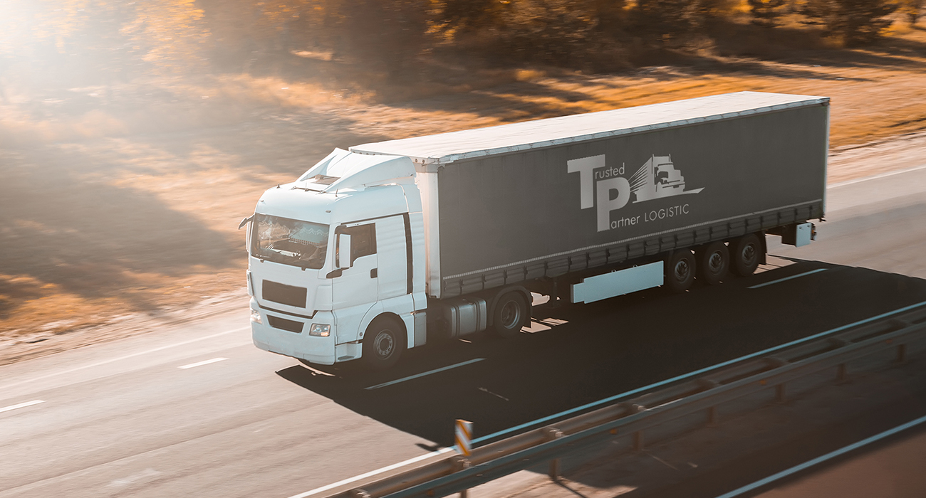 TP Logistic